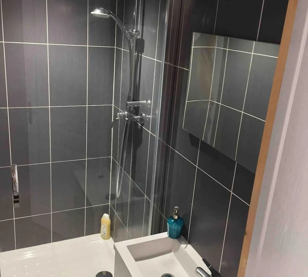 Apartment La Rainette - Chambre - Chalamont France